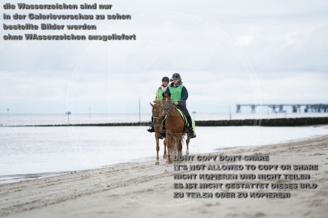 s_K3F04714.JPG